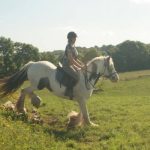 colonie de vacances et activité poney