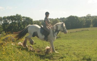 colonie de vacances et activité poney