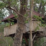 découvrez le plaisir de vivre dans une maison dans les arbres, un refuge unique qui allie confort et nature. parfait pour les aventuriers et les amoureux de la vie en plein air, laissez-vous séduire par une expérience inoubliable au cœur des arbres.